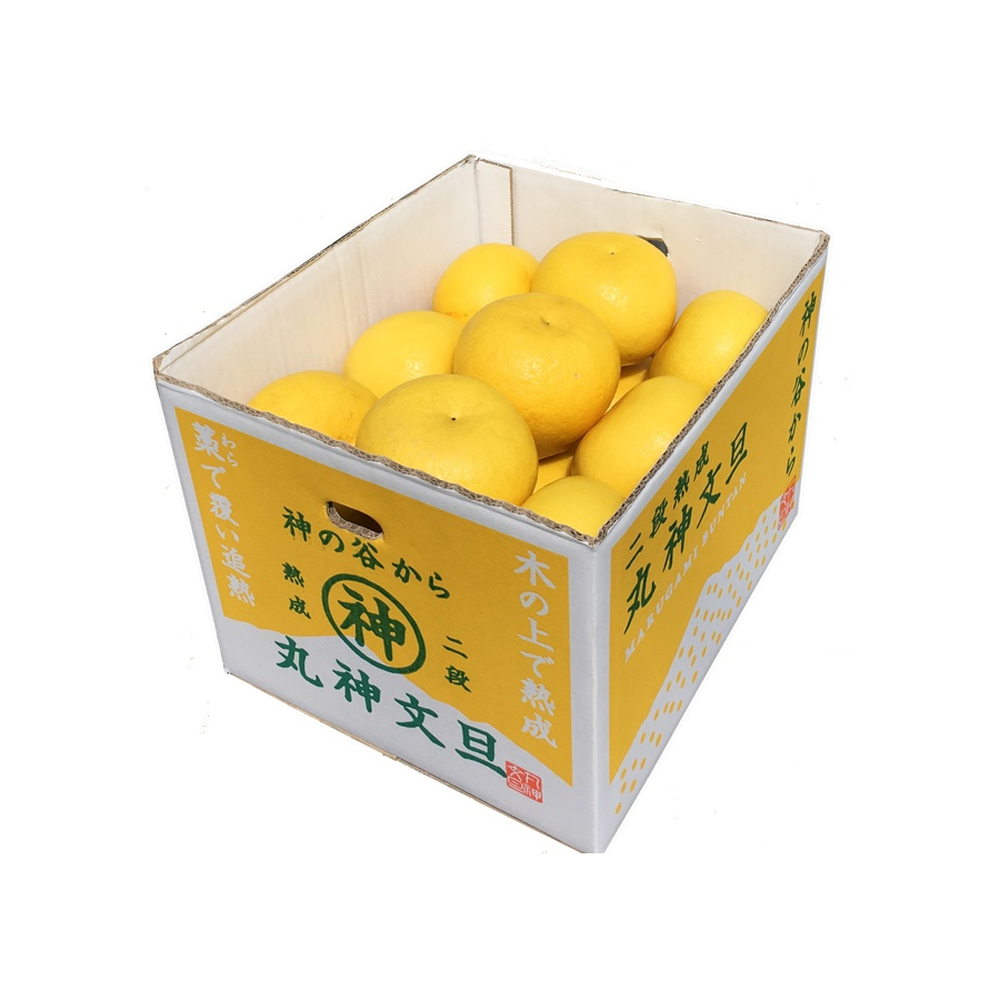 丸神文旦（まるがみぶんたん）