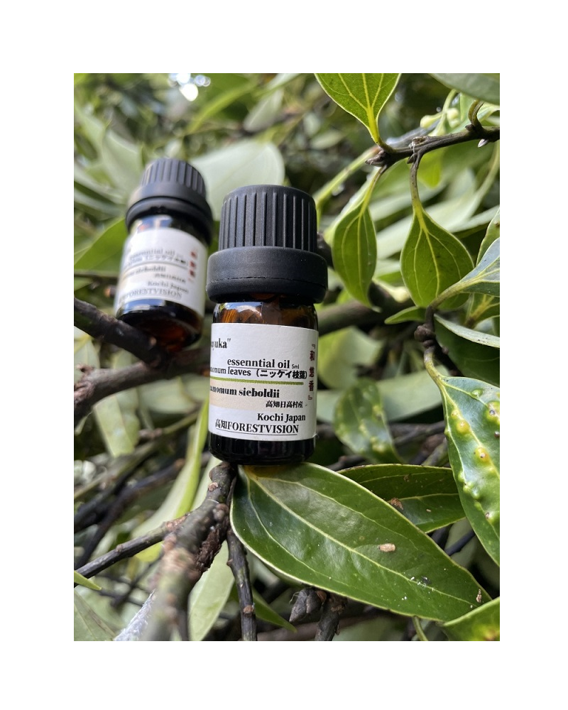 高知樹木のエッセンシャルオイル｜高知まるごとネット