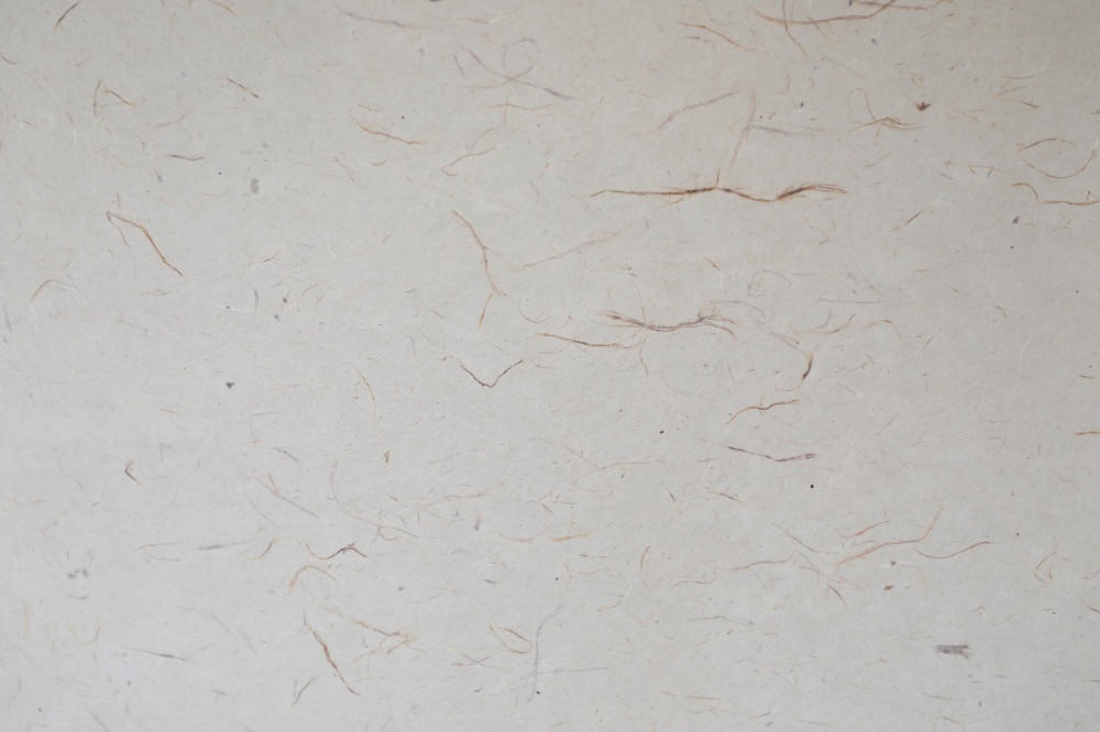 土佐和紙/とも白髪