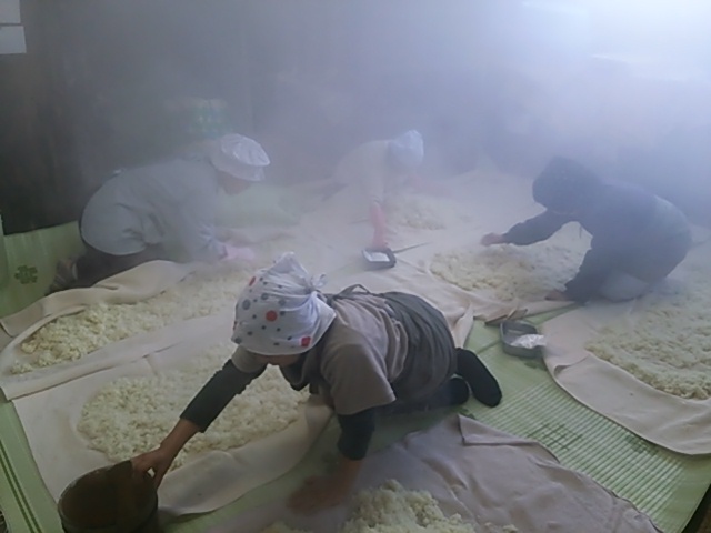 井上雅恵｜井上糀店｜高知まるごとネット