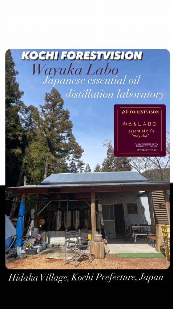 高知樹木のエッセンシャルオイル