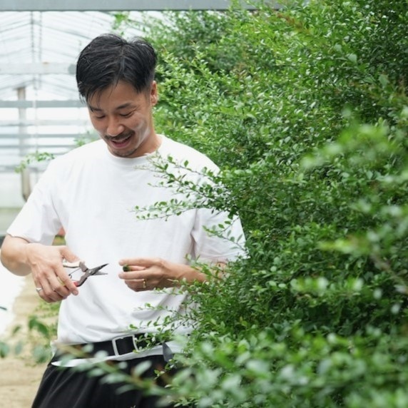 フィンガーライム