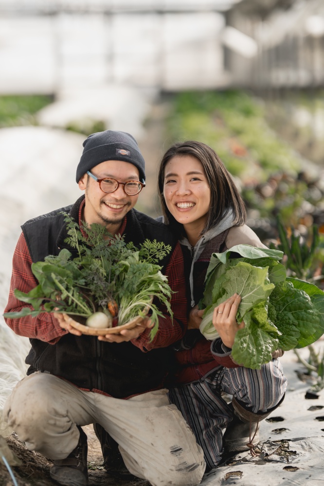 季節の野菜セット　10品目