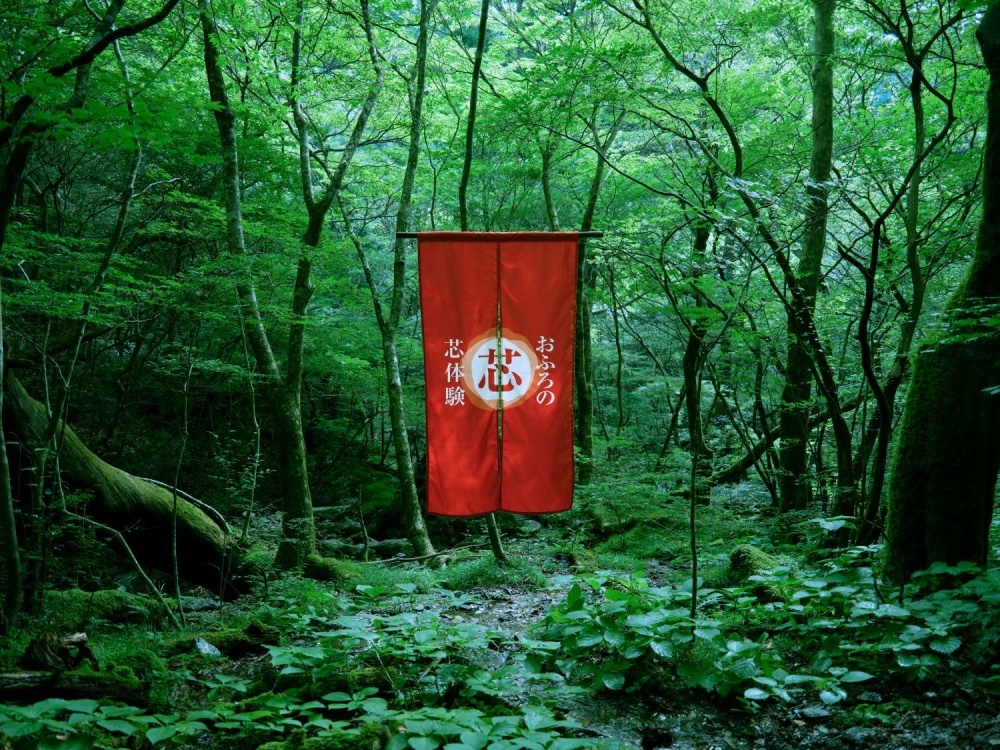 おふろの芯体験 生薬の巡り湯