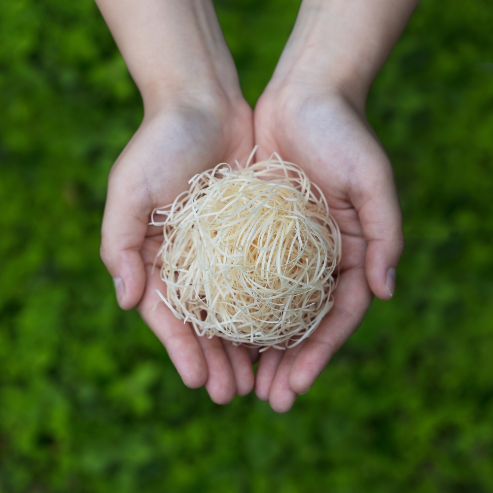 くすのきシューズキーパー