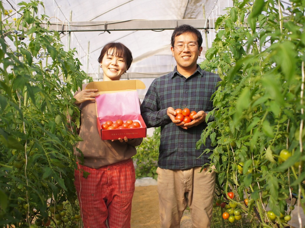  中村陽介