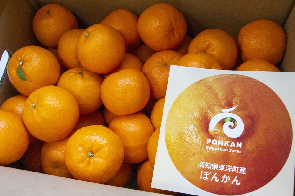 山下龍造｜株式会社フクチャンFARM｜高知まるごとネット