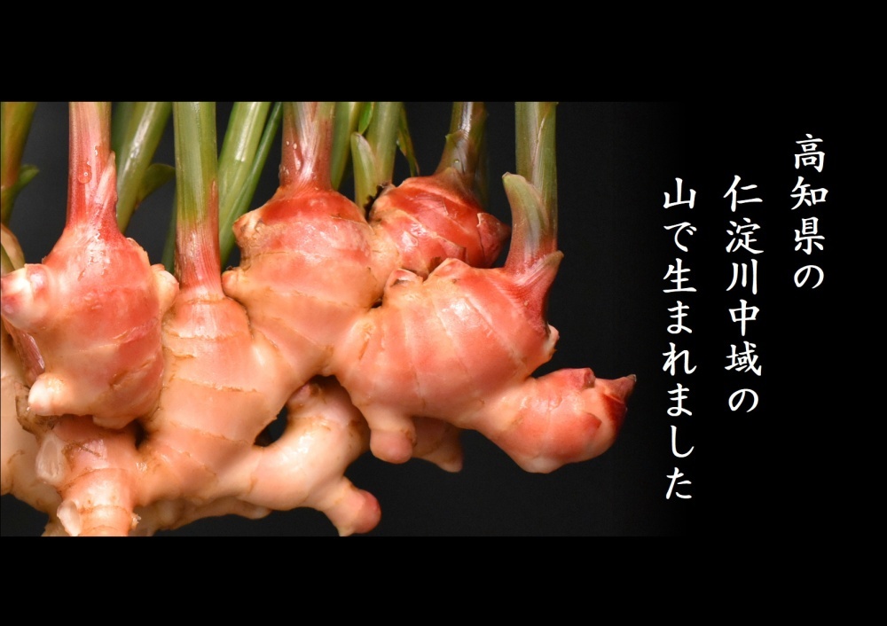 粉末生姜 30g木製スプーン付