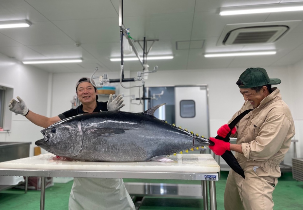 生姜真鯛贅沢セット