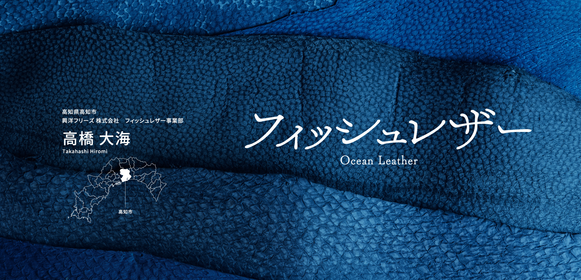 フィッシュレザー 高知県高知市 興洋フリーズ株式会社　フィッシュレザー事業部 高橋 大海